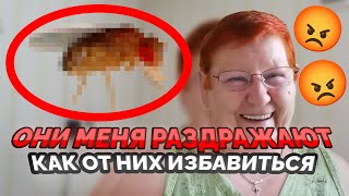 ЗАМУЧИЛА ДРОЗОФИЛА? Вам СЮДА!  Два ЭФФЕКТИВНЫХ метода БОРЬБЫ с фруктовой МУШКОЙ! 🪰 | #953