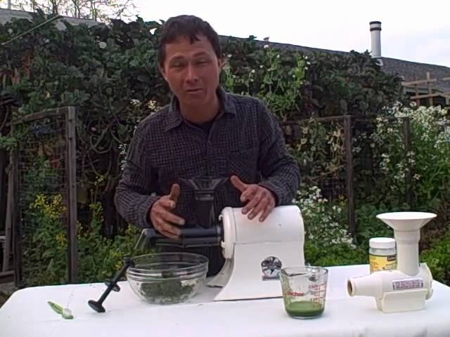 Juice Wheat Grass & Leaf Vegetables with the Champion Juicer Greens  Attachment 