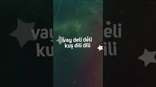 Yağmur Yağar Taş Üstüne Sözler Ekranda