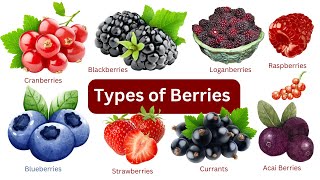 Different Types of Berries and Their Delicious Uses | List of  Berries with Yummy Pictures by Suma English Vocabulary 279 views 7 months ago 2 minutes, 34 seconds