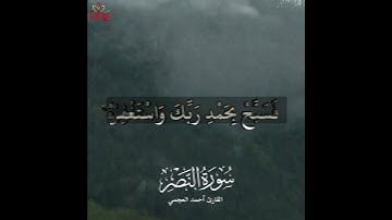 سورة النصر.. تلاوة خاشعة للقارئ #أحمد_العجمي #ريحانة_قرآن #قرآن #ماهر_المعيقلي #ياسر_الدوسري