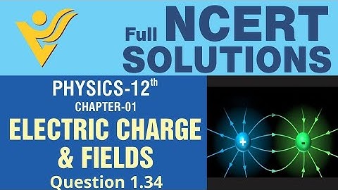 NCERT 12th Physics | Chapter 1 | Q 1.34 | Electric Charges and Fields | Vyas Edification NEET