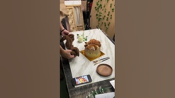 Thumbnail of Kamu harus tau cara foto kue tart yg simpel itu begini