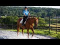 How to Make Smooth Transitions - Even on a Forward Horse