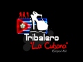 Tribalero  la cubana original mix