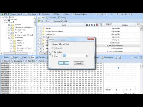 MFT Tutorials - Analyse the header, name attribute and standard information attribute in MFT