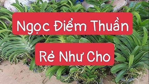 Hoa hồng từ các đơn hàng thường bao nhiêu