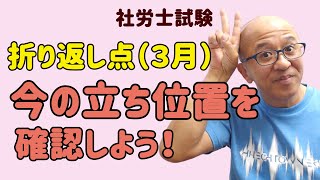 社労士試験、「折り返し点（３月）、今の立ち位置を確認しよう！」