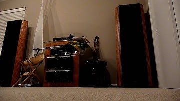 Demo Hover - Align Trex 450SE V2 - 17 Jan 2010