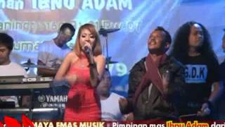 bikin gemes...!! artis dangdut cantik nan seksi menyanyikan lagu 'mawar ditangan'
