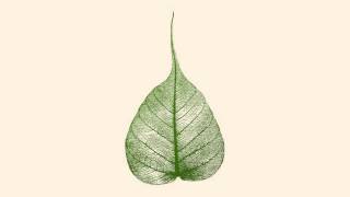 131104 Strong & Well nourished \ \ Thanissaro Bhikkhu \ \ Short Dhamma Talk