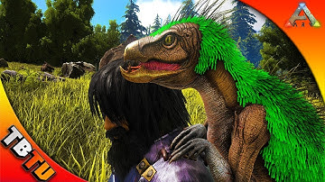 ARK PEGOMASTAX HATCHING! PEGOMASTAX COLOR MUTATIONS! Ark Survival Evolved Mutation Zoo E54