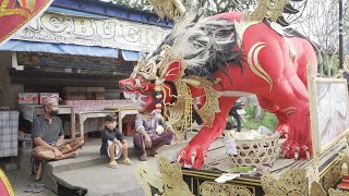 Petulangan Singa, Mengagumkan, Tradisi Leluhur Bali, Cremation