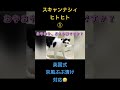 スキャンナシィヒトヒト① #suno #エンタメ#ヒトヒト#歌動画　＃英国戴冠式　＃塩対応