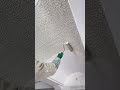 Painting Roof Surfaces Using Tools For Professional Detailed Creative Construction Jobs