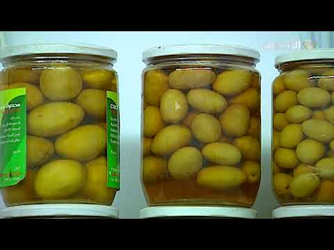 من وادي الضليل زيتون ي زرع وأمل ي ثمر