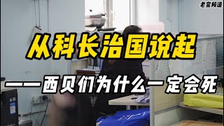 从科长治国说起——西贝们为什么一定会死 从科长治国说起——西贝们为什么一定会死