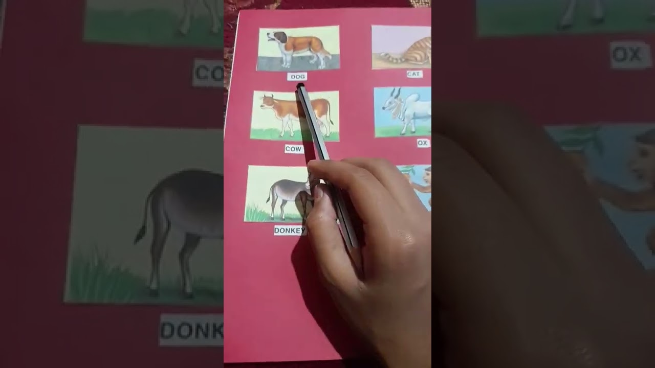 animal chart ⬜cutting✂️ and paste