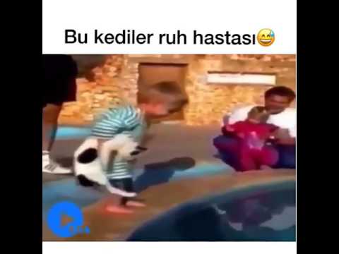 2017 - Bu Kediler Ruh Hastası