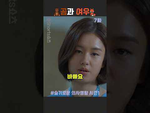 회사에 꼭 한 명씩 있는 '일 몰아주기' 고수 🦊 vs 곰 같은 나 🐻