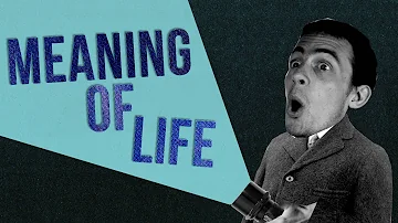 The Meaning of Life - in 60 Seconds