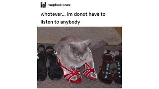 Tumblr Awards v121