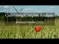 34. Schwarz's lemma (Cultivating Complex Analysis 3.5.1)