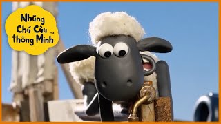 Những Chú Cừu Thông Minh  Bị mắc kẹt trên cối xay gió Phim hoạt hình sử thi đầy đủ Tập đầy đủ