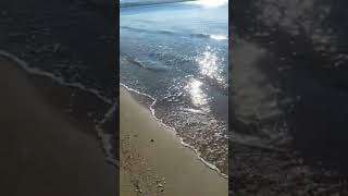 Sahilde Deniz Dalgası