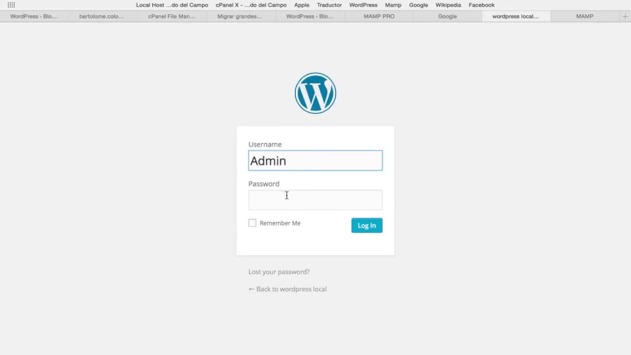 Wordpress login