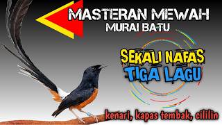 sekali nafas 3 lagu !! MASTERAN MURAI BATU ROLL TEMBAK 3 LAGU MEWAH‼️