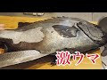 これだけは教えたくない石鯛の食べ方！