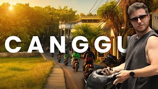THIS IS LIFE IN CANGGU IN 2025 | BALI