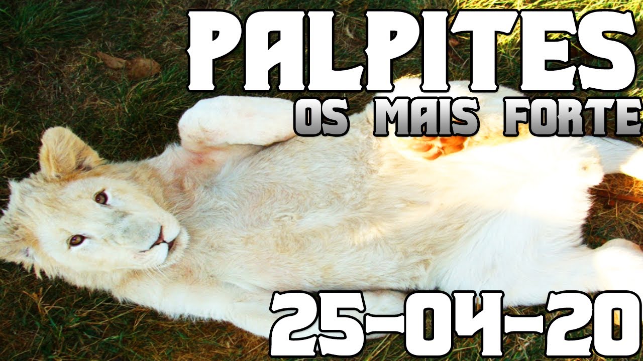 palpites corinthians hoje