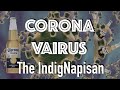 Corona Virus - The IndigNapisan