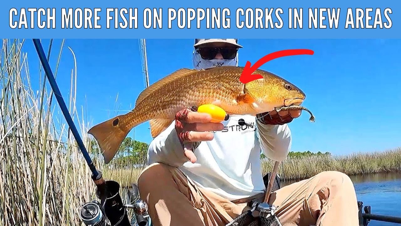 How To Catch Fish In A New Area With Popping Corks [Fishing Report