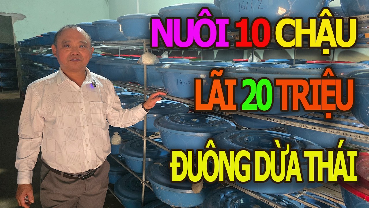 Nuôi Đuông Dừa Thái Lan Dễ Nuôi - Ít Rủi Ro - Nuôi Đơn Giản - Hiệu Quả Cao / Trại Đuông Tây Nguyên