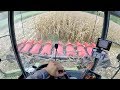 Cab view  claas lexion 570  capello diamant 8 rows  mais harvest