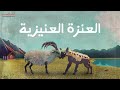 حكايا شعبية العنزة العنيزية