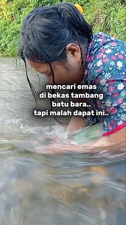 niat sebenarnya mau mandi di sungai tapi malah dapat ini #sungai #pensi #kerangairtawar #jernih