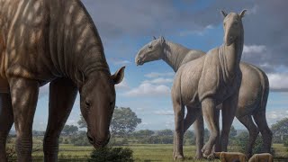 The Rhino That Was Bigger Than T.rex - Paraceratherium