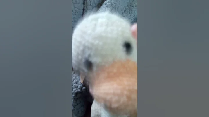 A REALLY random video