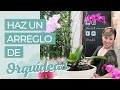 COMO HACER UN ARREGLO DE ORQUIDEAS Y SUCULENTAS NATURALES 🌱