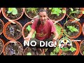 No Dig Planting, Getting Ready For Spring -  Weekly Living Off The Grid Vlog
