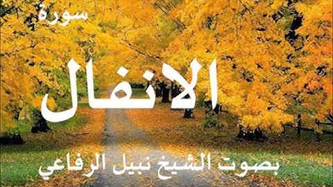 سورة الأنفال بصوت الشيخ نبيل الرفاعي