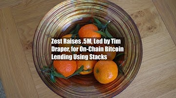 Zest Raises $3.5M, Led by Tim Draper, for On-Chain Bitcoin Lending Using Stacks