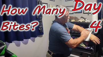 🩸4- ALMOST no bites on Day 4! Shouldn