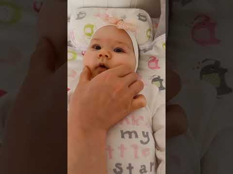 Komik bebek videoları