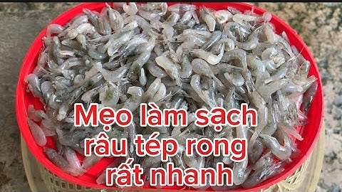 Bí quyết làm sạch râu tép nhanh rất nhiều lần đơn giản không cần dao kéo