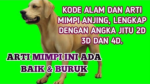 Arti Mimpi Anjing, Kode Alam Anjing Lengkap Angka Jitu 2D 3D & 4D. Erek Erek, Primbon.